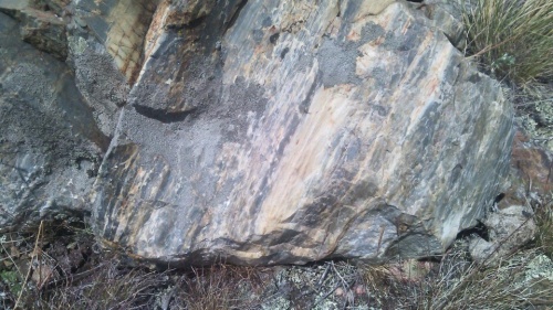 Гигантские зелёные валуны для ландшафтного дизайна весом более 5 тонн купить в Электростали